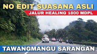 JALUR TAWANGMANGU SARANGAN, NO EDIT SUASANA ASLI JALUR HEALING 1800 MDPL - Cak Hanto