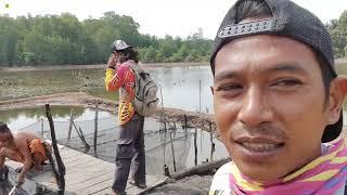 HARAP BERHATI-HATI & CARI AMAN KETIKA BERTEMU HEWAN PENGHUNI HUTAN DI TARJUN