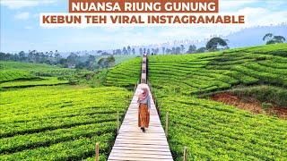 NUANSA RIUNG GUNUNG | Wisata Alam Kebun Teh Viral di Pangalengan, Bandung #Vlog11