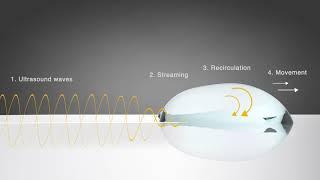 EchoVista - Ultrasound Surface Cleaning Technology