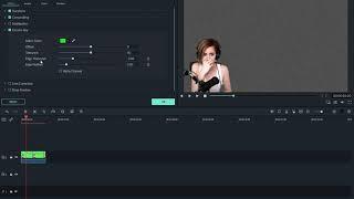 Filmora9 - Remove Green Screen Background