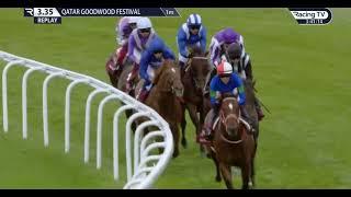 2022 07 /27 R4  /Jim Crowley /Baaeed /T  WJ Haggas  @ Good wood  (Group 1) Quatar Sussex  stakes