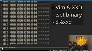 Basic Hex Editing With Vim/XXD