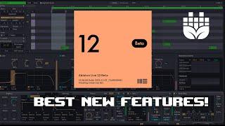 Ableton Live 12: My Favorite New Features!