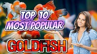 Top 10 Most Beautiful Goldfish Varieties You Need to See