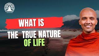 What is the true nature of life? | Buddhism in English #lifeanddharma