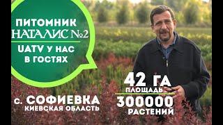 Питомник растений НАТАЛИС №2 в с. Софиевка, Киевская обл. (Моя земля, UATV)