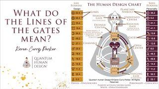 The 6 Lines of the Gates in Quantum Human Design - Karen Curry Parker