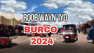 Burco oo Roob Wayn  Qurxiyay : Maxaa ku Cusub Burco a 2024