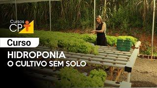 Curso Hidroponia: O Cultivo sem Solo l Cursos CPT