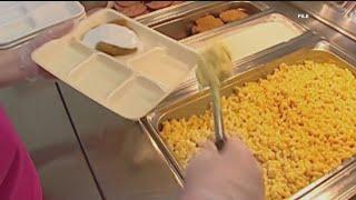 USDA ends food for schools, food purchase assistance programs