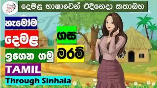 Let's learn Tamil | Punchi Danuma