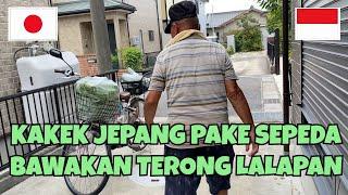 AKHIRNYA KAKEK JEPANG PANEN TERONG IJO LANGSUNG BAWAKAN CUCU DAN MANTUNYA