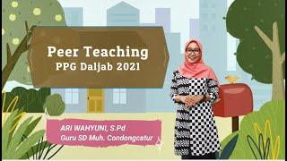 Peer Teaching Daring PPG Daljab 2021