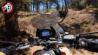 Moto Guzzi V85TT / Onboard Trail Ride / @motogeo