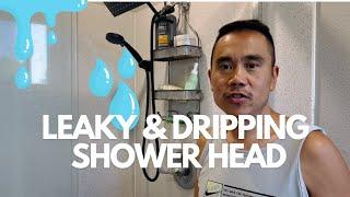 How To Fix A Dripping And Leaky Shower Head - Delta shower cartridge replacement