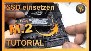 M.2 SSD richtig einsetzen | Anleitung