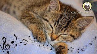 Relaxing Harp Music for Cats | Sleep Music | Relaxing Music | Stress Relief