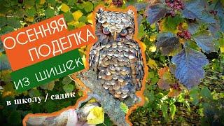 Осенняя поделка из шишек в школу (садик). Панно с цветочками и сова. Мастер-класс пошагово