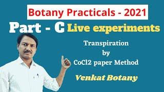 Botany Practicals | Part C | Live Experiments | Transpiration by Cobalt Chloride Paper Method