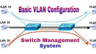 Basic VLAN Configuration || Switch Management Access || By VikramNarayandas || Shivachandrarjuna