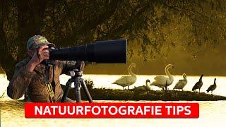 NATUURFOTOGRAFIE: inzoomen of uitzoomen? | Natuurfotografie | Zoom.nl