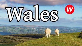 Facts about Wales | Video for English language learners