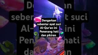 Ayat Alquran #rezekideras #sholawat #qoriinternasional #qorinasional #qori