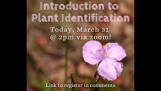 Introduction to Plant Identification