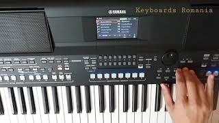 Yamaha PSR-SX600 - Dance & R&B Styles Category