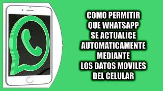 Cómo permitir que WhatsApp se actualice automaticamente mediante los datos móviles del celular