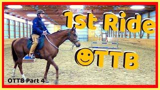 OTTB First Ride! 1st Training Session With An OTTB With History of Rearing