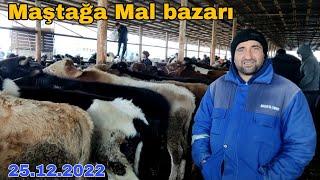 MAŞTAĞA Mal bazarı 25.12.2022 (Yeni Çəkiliş 2022)