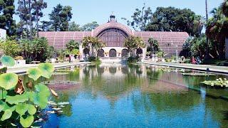 Balboa Park: The Cultural Heart of San Diego