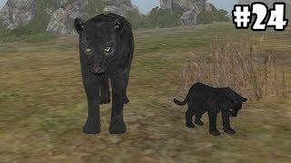 Wild Animals Online - Black Leopards - Android/iOS - Gameplay Episode 24