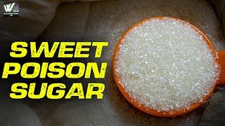 मीठा जहर शुगर - Sweet Poision Suger | - Documentary हिन्दी HD