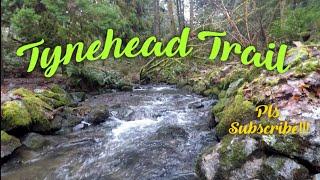 Tynehead Trail Hike, Tynehead Regional Park