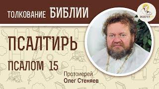 Псалтирь. Псалом 15. Протоиерей Олег Стеняев. Библия