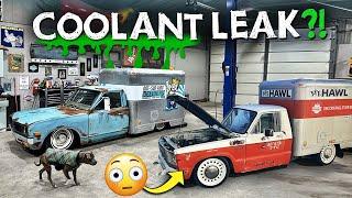 1977 Datsun coolant leak! 1981 Ford Courier paint RUINED? Can we fix them? Box Truck Mafia