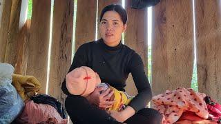 Warm when having a baby around - harvesting corn to sell - the baby is missing | chúc thị lánh