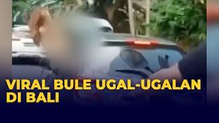 Viral Bule Berkendara Ugal-ugalan di Bali, Menari Keluarkan Badan Lewat Jendela Mobil