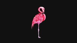 (FREE) Cardi B Type Beat 2019 - ''Flamenco'' | Latin Trap Rap Instrumental