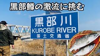 「激流に挑む」2023年黒部川サクラマス初当選からのprocess