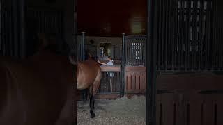 missed him barn vlog, tack up with me, bubble bath tomorrow!!! #horse #viral #blowup #blowup