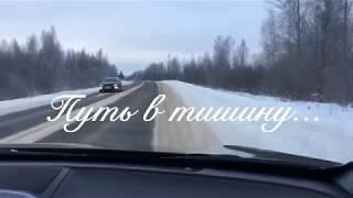 " Путь в тишину..." Охота на зайца ! Косой не найден ,только лоси и тетерева...