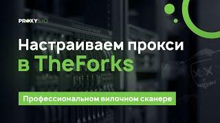 Настройка прокси в сканере вилок TheForks