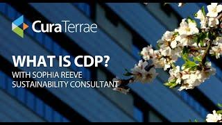 What is CDP?