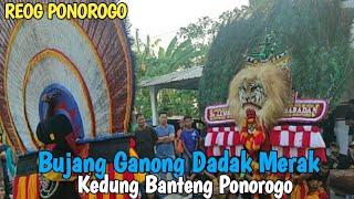 REOG PONOROGO  Kedung Banteng Ponorogo