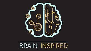 BI 036 Roshan Cools: Cognitive Control and Dopamine