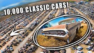 Ten Thousand Unrestored Classic Cars - This Place is Unbelievable!